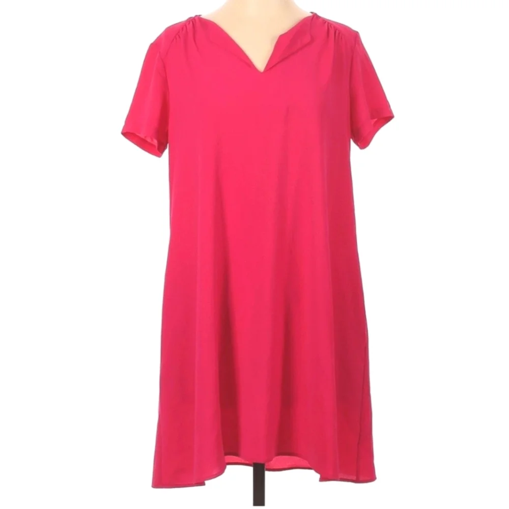 LUSH- Raspberry Pink Dress - Picture 4 of 5